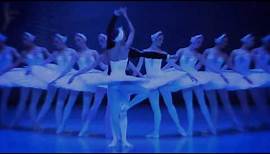 Schwanensee - Staatliches Russisches Ballett Moskau 2017/2018