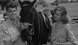 (Drama) Stallion Road - Ronald Reagan, Alexis Smith, Zachary Scott 1947