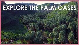 Explore the Palm Oases ~ Wander List