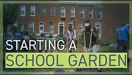 Guide to Starting a School Garden