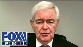 Newt Gingrich: There is a long history of the UN siding with terrorists
