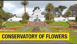 Tropical Treasures: Discover the Wonders of the Conservatory of Flowers in San Francisco