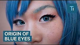 All Blue-Eyed People Have A Single Ancestor In Common
