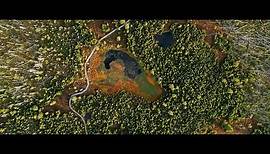 Trailer: "DER WILDE WALD" - 50 Jahre Nationalpark Bayerischer Wald (Langversion)