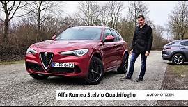 Alfa Romeo Stelvio Quadrifoglio 2019: SUV mit 510 PS im Alltagstest, Review