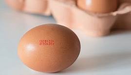 Was steht auf dem Ei? Eier-Code entschlüsseln