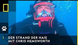 HAI LIFE - Chris Hemsworth präsentiert den Strand der Haie | National Geographic