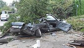 Tobel-Tägerschen (TG): Auto donnert in Baum – beide Insassen verletzt
