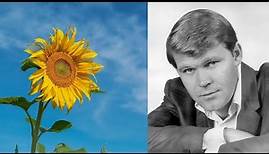 Glen Campbell Sunflower (with lyrics)