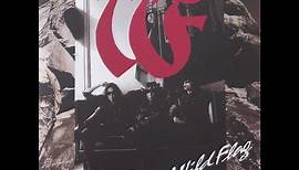 Wild Flag - Wild Flag (1992), Full Album 山本 恭司 Kyōji Yamamoto Bow Wow, Vow Wow