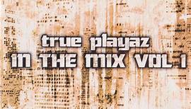 DJ Hype - True Playaz In The Mix Vol. 1