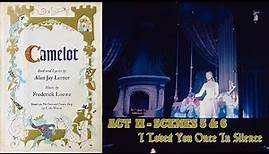 Camelot, Act 2 Scene 5 & 6 ("I Loved You Once in Silene", 1960) - Julie Andrews, Robert Goulet