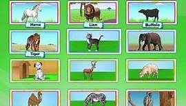 Animals for Kids | Learn Animals | The Animals Around Us | EVS | Grade 1