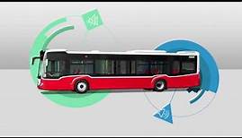 Neue Busse für Wien
