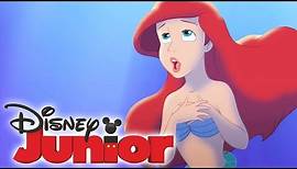 Arielle, die Meerjungfrau – Wie alles begann | Disney Junior