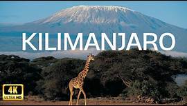 CLIMBING MOUNT KILIMANJARO | The Summit