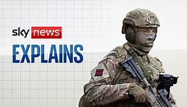 What is the current state of the British armed forces? | UK News | Sky News