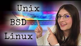 BSD, Linux und die Unix-Kriege: Eine kurze Geschichte der Betriebssysteme