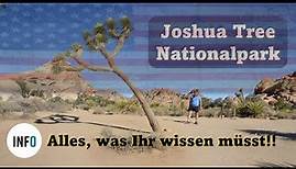 Alles über den Joshua Tree Nationalpark! Eintritt, Übernachtung, Wanderwege, Besuchsdauer & Bonustip