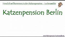 Katzenpension Berlin - Katzenpension - Tierpension