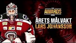 Årets Målvakt 2016: Lars Johansson |HD|