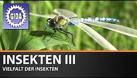 Trailer - Insekten III - Vielfalt der Insekten - Biologie - Schulfilm