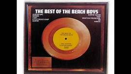 The Beach Boys - What Is A Young Girl Made Of?