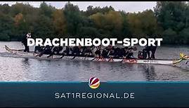 Mit Spirit und Kraft: Das Drachenboot-Training beim Wolfsburger Kanu-Club
