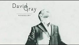 David Gray - A Moment Changes Everything (Official Audio)