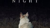 It Comes at Night streaming: where to watch online?