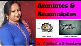 Amniotes & Anamniotes