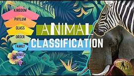 Animal Types || Animal Classification || Animal Groups 🌎🐘🦩🐠🐍🦎🐌