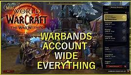 Warbands Account Wide Everything! | World of Warcraft a War Within
