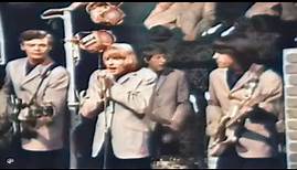 The Yardbirds - I'm A Man (1965)