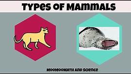 Types of Mammals