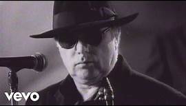 Van Morrison - Days Like This (Official Video)