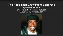 Poem - The Rose That Grew From Concrete by Tupac Shakur - Read Along