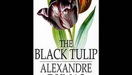 The Black Tulip by Alexandre Dumas - Audiobook