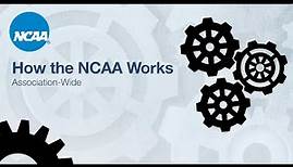 How the NCAA Works - Association-Wide