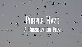 PURPLE HAZE: A Conservation Film - OFFICIAL TRAILER