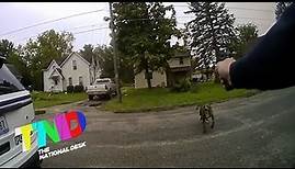 Officer shoots dog that ran at him