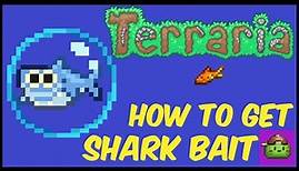 How To Get Shark Bait (With Seed) In Terraria | Terraria 1.4.4.9