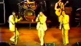 DANNY & THE JUNIORS "At The Hop" Live - 1980