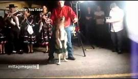 Dog Dance - Der mit dem Hund tanzt
