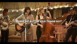 Molly Tuttle - Where Did All the Wild Things Go? (Live)