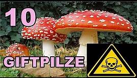 Die 10 GIFTIGSTEN PILZE 🍄 Toxic Mushrooms ⚠️