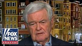 Newt Gingrich: 'It's all a lie'
