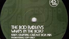 The Boo Radleys - What's In The Box?