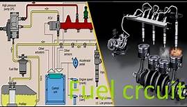 Engine diesel (part2) the fuel circuit