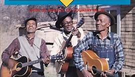 The Hopkins Brothers - The Hopkins Brothers (Joel, Lightning & John Henry)